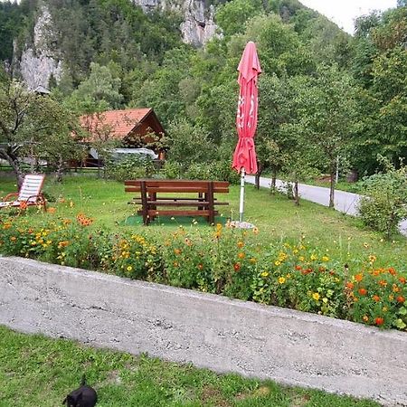 Apartma Vidic غوزد مارتوليك المظهر الخارجي الصورة