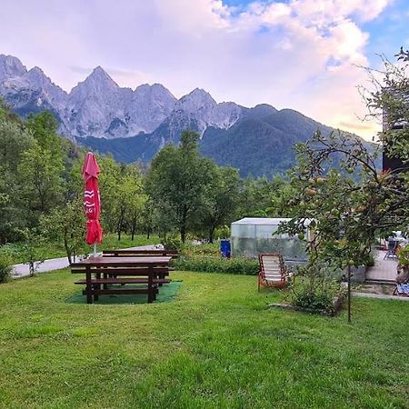 Apartma Vidic غوزد مارتوليك المظهر الخارجي الصورة