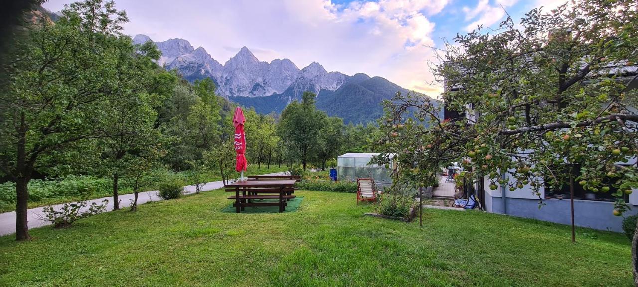 Apartma Vidic غوزد مارتوليك المظهر الخارجي الصورة